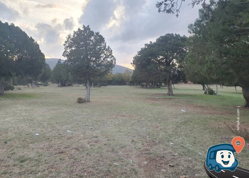 Anasultan Mesire Alanı - Kütahya Merkez, Kütahya, foto 1