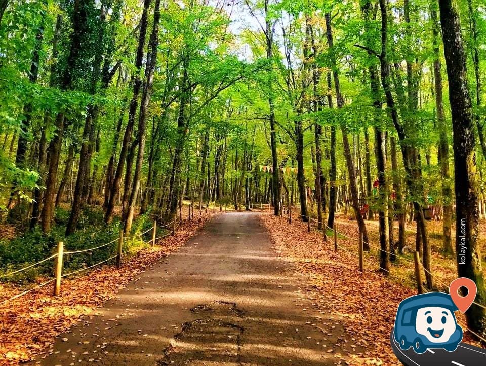Belgrad Ormanı - Sarıyer, İstanbul, foto 1