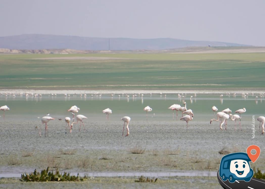 Düden Gölü Kamp Alanı - Kulu, Konya, foto 6