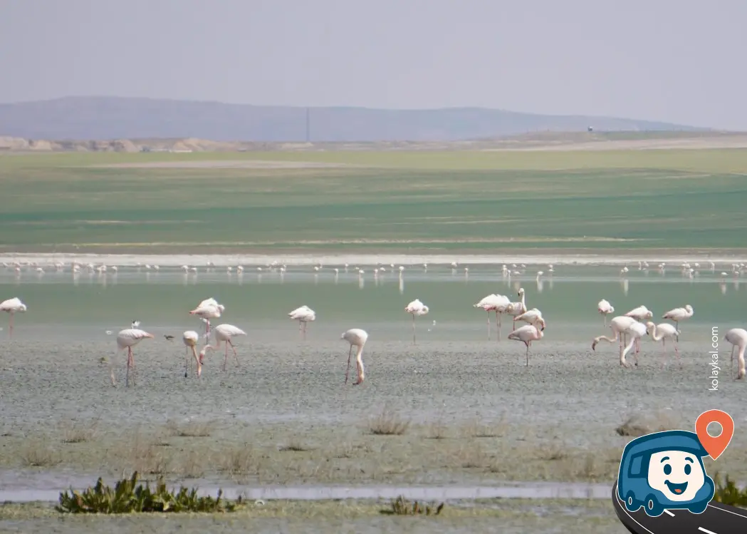 Düden Gölü Kamp Alanı - Kulu, Konya, foto 3