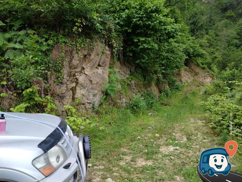 Toprak Yol Üzerinde Virajdaki Açıklık - Of, Trabzon, foto 3