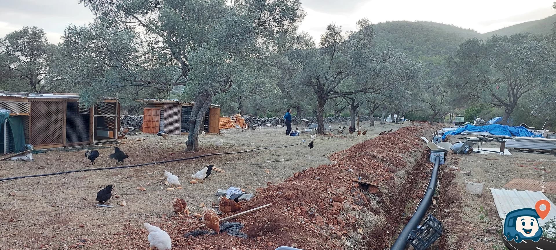 Red Wood Camping - Bodrum, Muğla, foto 4