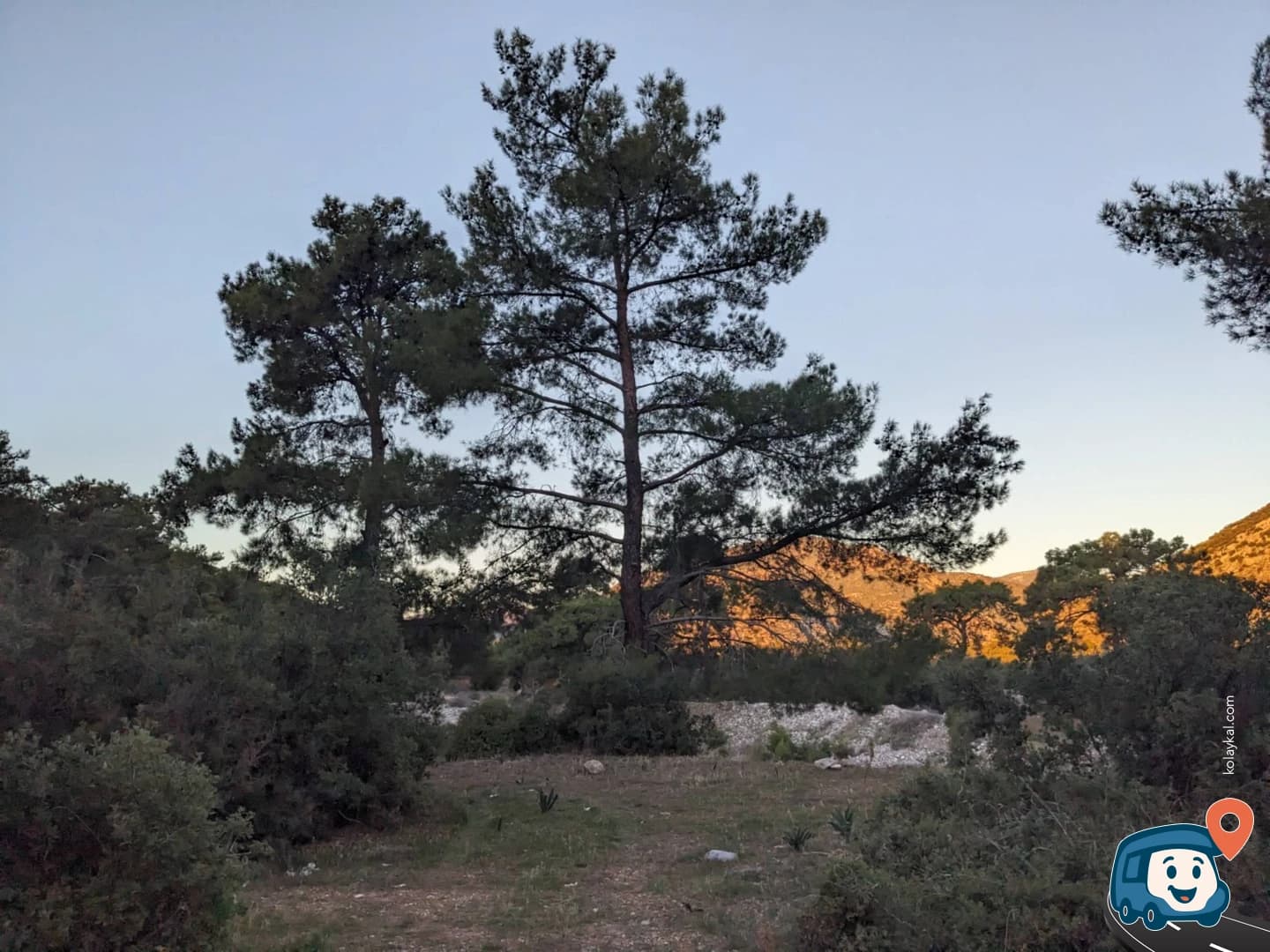 Çam Ağaçları İçinde Vahşi Kamp Noktası - Döşemealtı, Antalya, foto 1