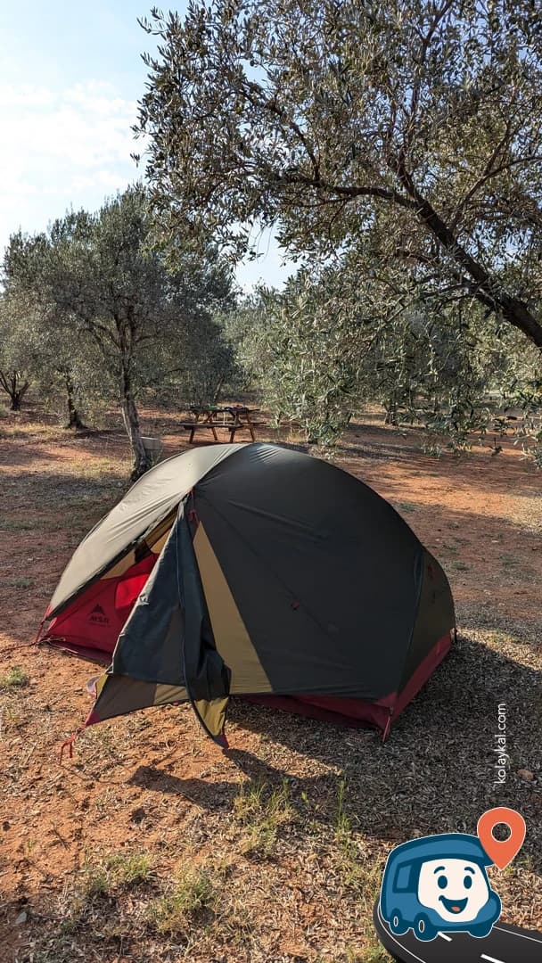 Olive Garden Kamp Alanı - Karacasu, Aydın, foto 4