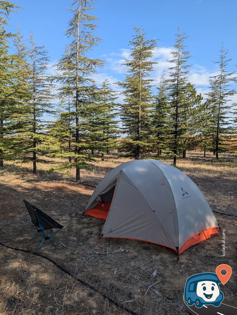 Otoyol Kenarı Çam Ormanı - Karatay, Konya, foto 1