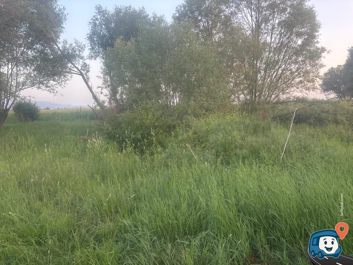 Birdsong Vahşi Kamp Alanı - Akşehir, Konya, foto 1