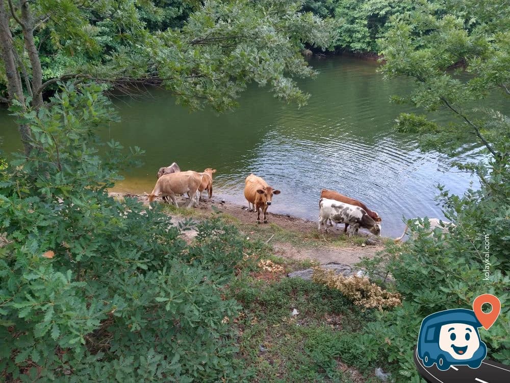 Çataldağ Göleti - Susurluk, Balıkesir, foto 2