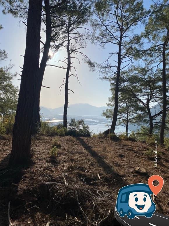 Çıkmaz Yol Kenarı Vahşi Kamp Alanı - Köyceğiz, Muğla, foto 1
