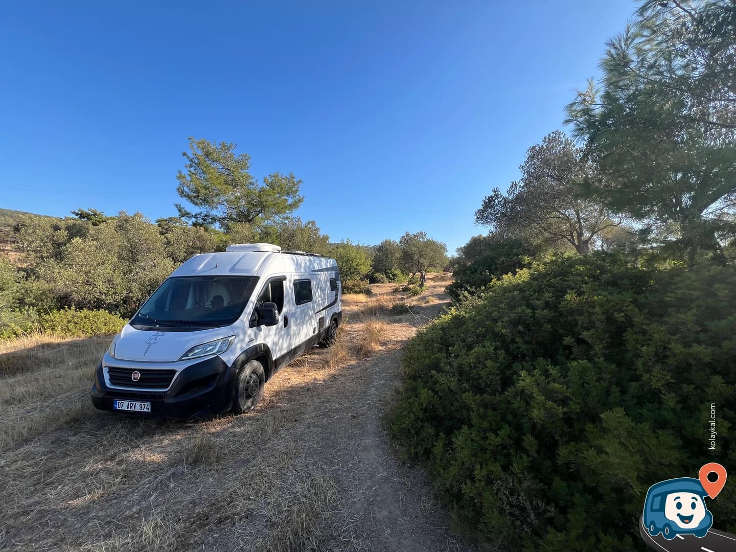 Zeytin Ağaçları Arasında Mera - Ayvalık, Balıkesir, foto 3