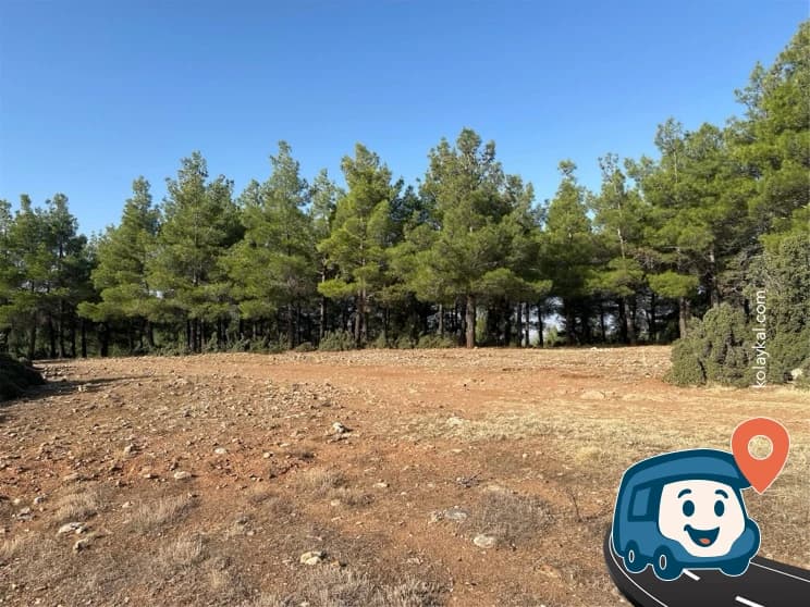 Tepe Vahşi Kamp Noktası - Başmakçı, Afyonkarahisar, foto 1