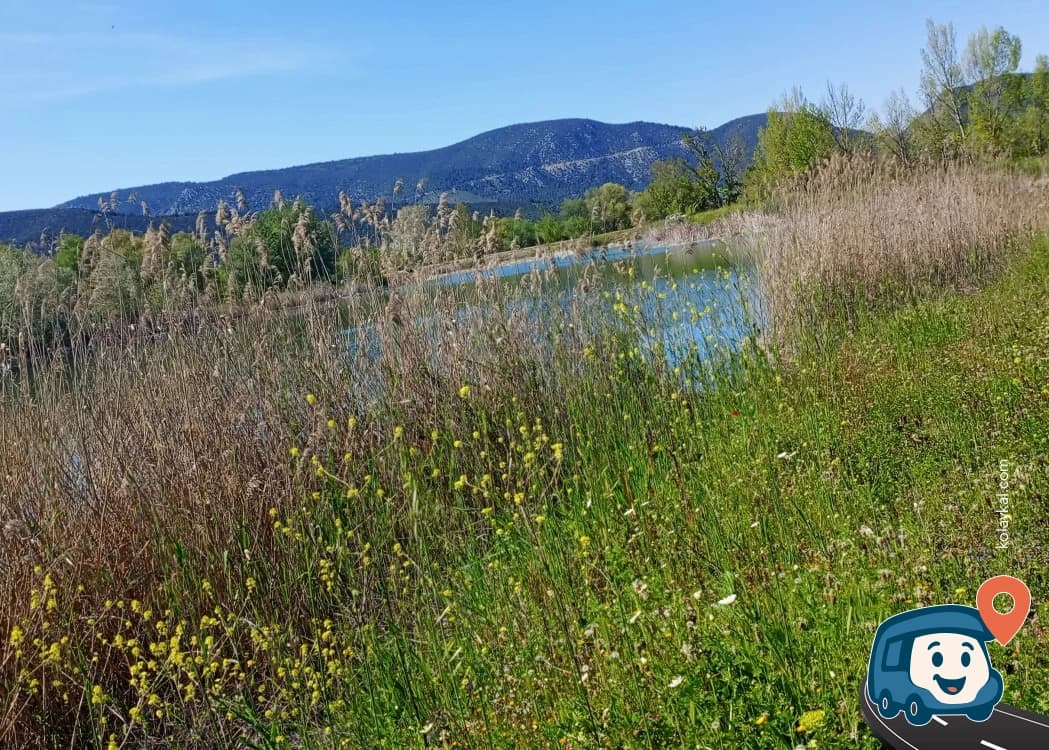 Vezirhan Göletleri Yakını Sakin Kamp ve Dinlenme Alanı - Gölpazarı, Bilecik, foto 10