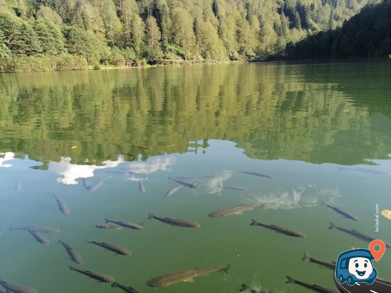 Borçka Karagöl - Artvin, foto 1