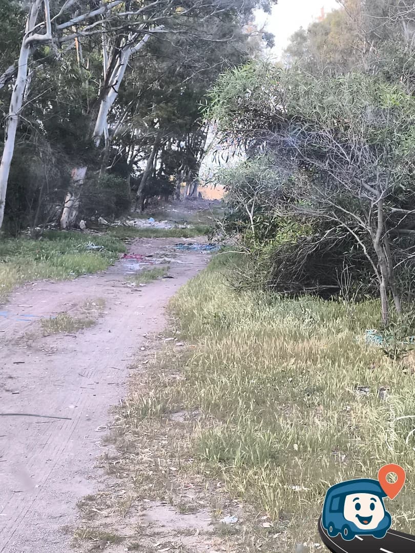 Ormanlık Plaj - Akdeniz, Mersin, foto 1