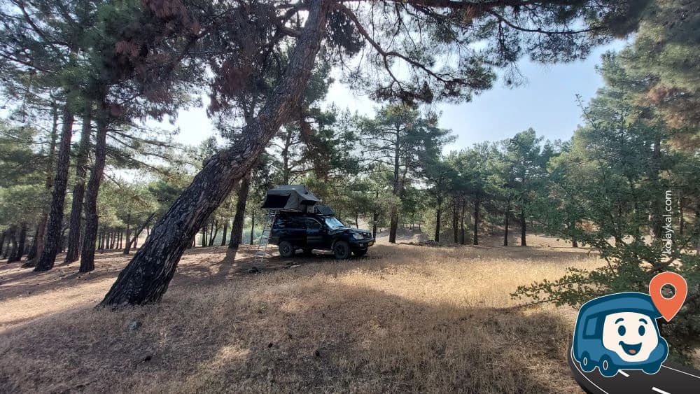 Ormanlık Tepeler Vahşi Kamp - Şehitkamil, Gaziantep, foto 3