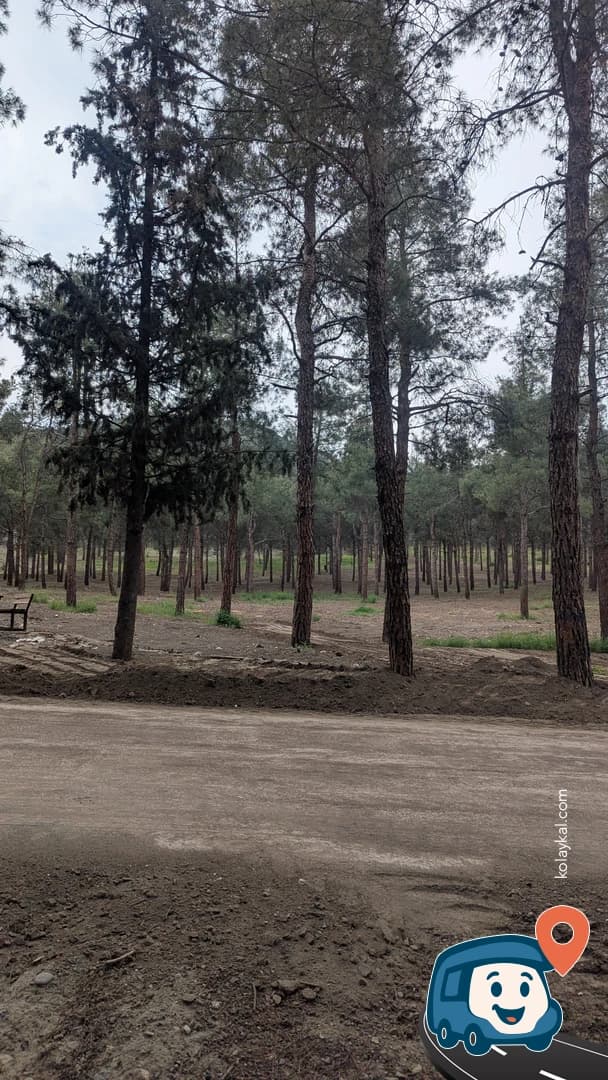 Burdur Gölü Ormanı - Burdur Merkez, foto 3