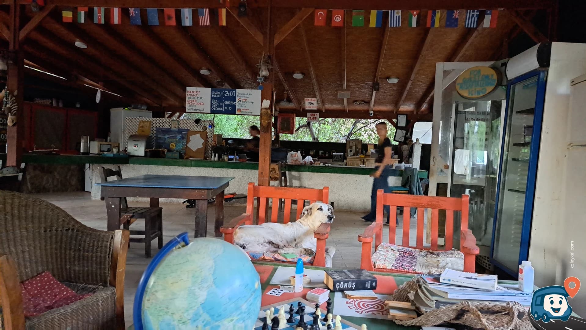 Bodrum Ecofarm Kamp ve Hostel - Muğla, foto 1