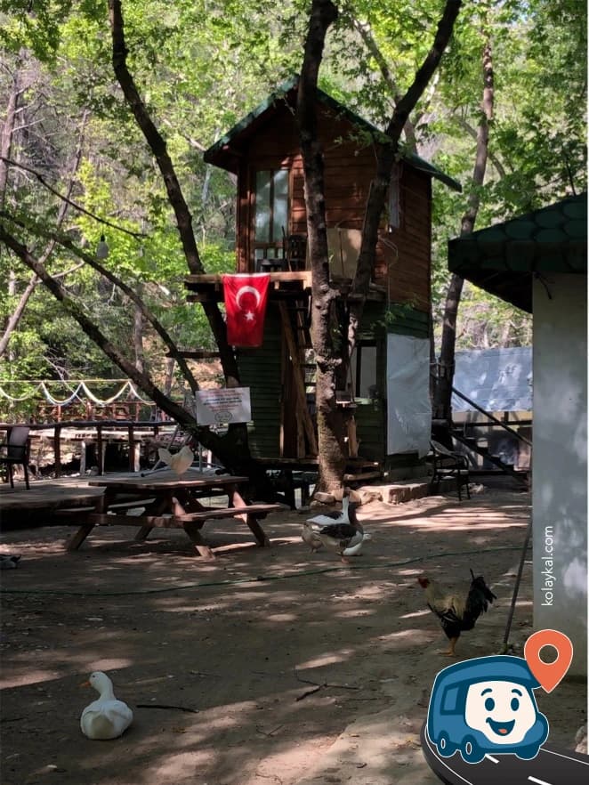 Yeşil Vadi - Fethiye, Muğla, foto 2