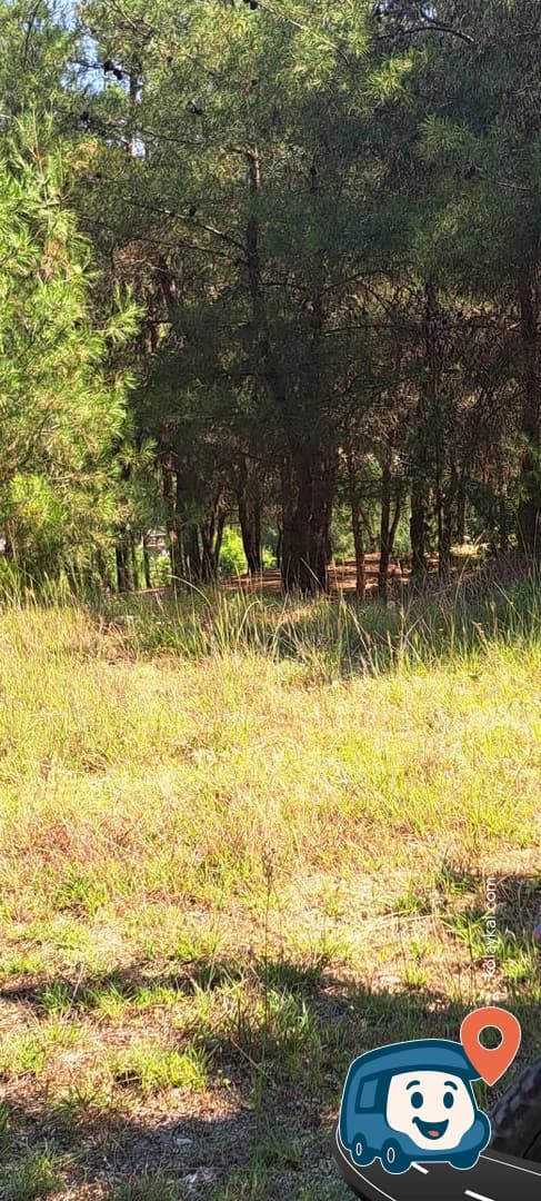 Durağan Karşı Park Yabani Kamp Alanı - Sinop, foto 1
