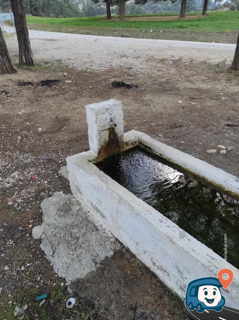 Çam Manzaralı Vahşi Kamp Noktası - Kaş, Antalya, foto 1