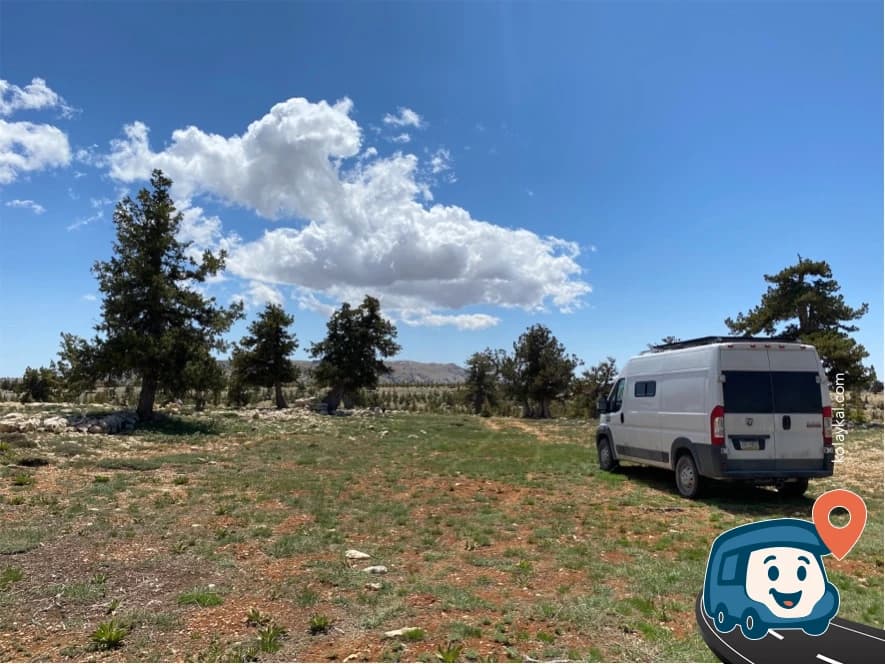 Yaşlı Ağaçlar Arasında Bir Nokta - Erdemli, Mersin, foto 2