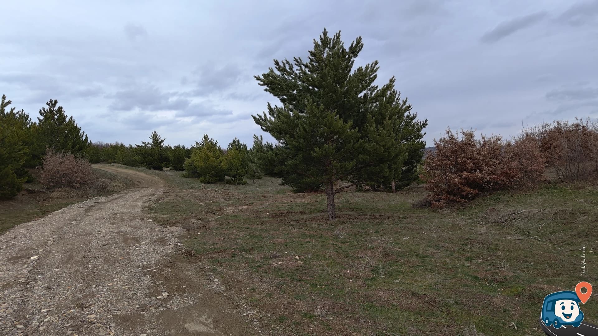 Orman Vahşi Kamp Alanı - Akdağmadeni, Yozgat, foto 1