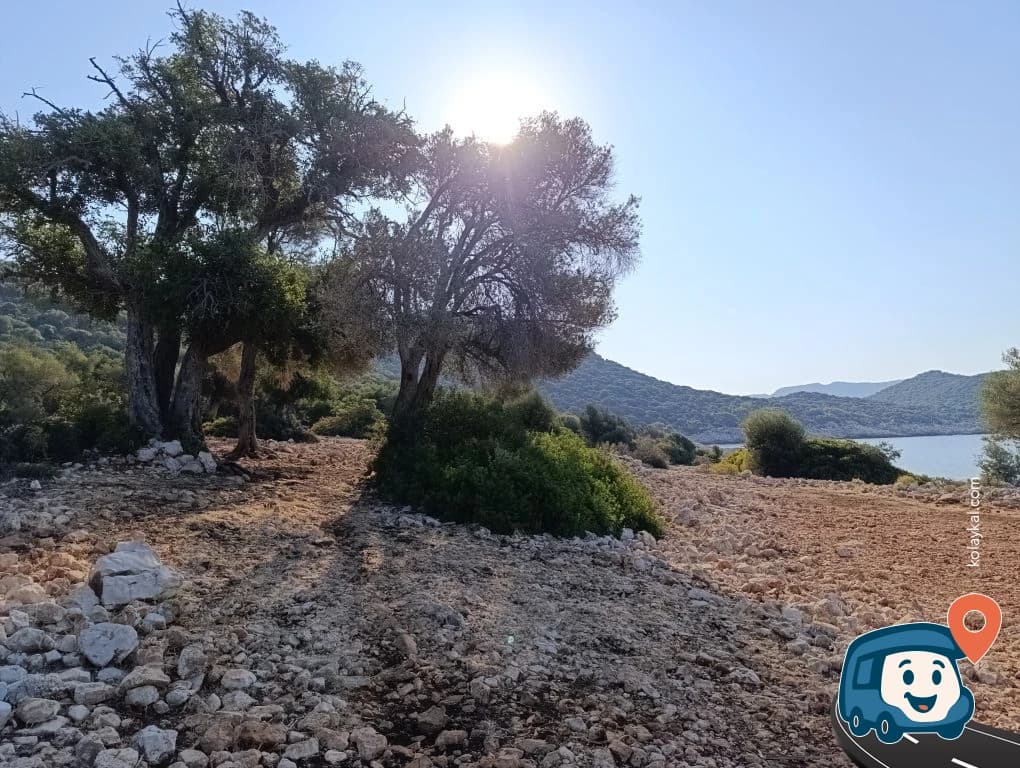 Apollon Tapınağı Yakını Vahşi Kamp Alanı - Kaş, Antalya, foto 4