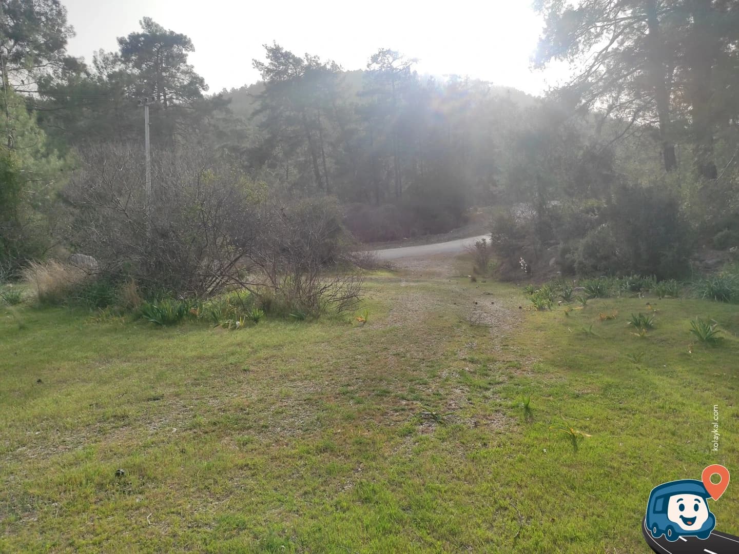 Yeşilüzümlü Yakını Vahşi Kamp Alanı - Seydikemer, Muğla, foto 3