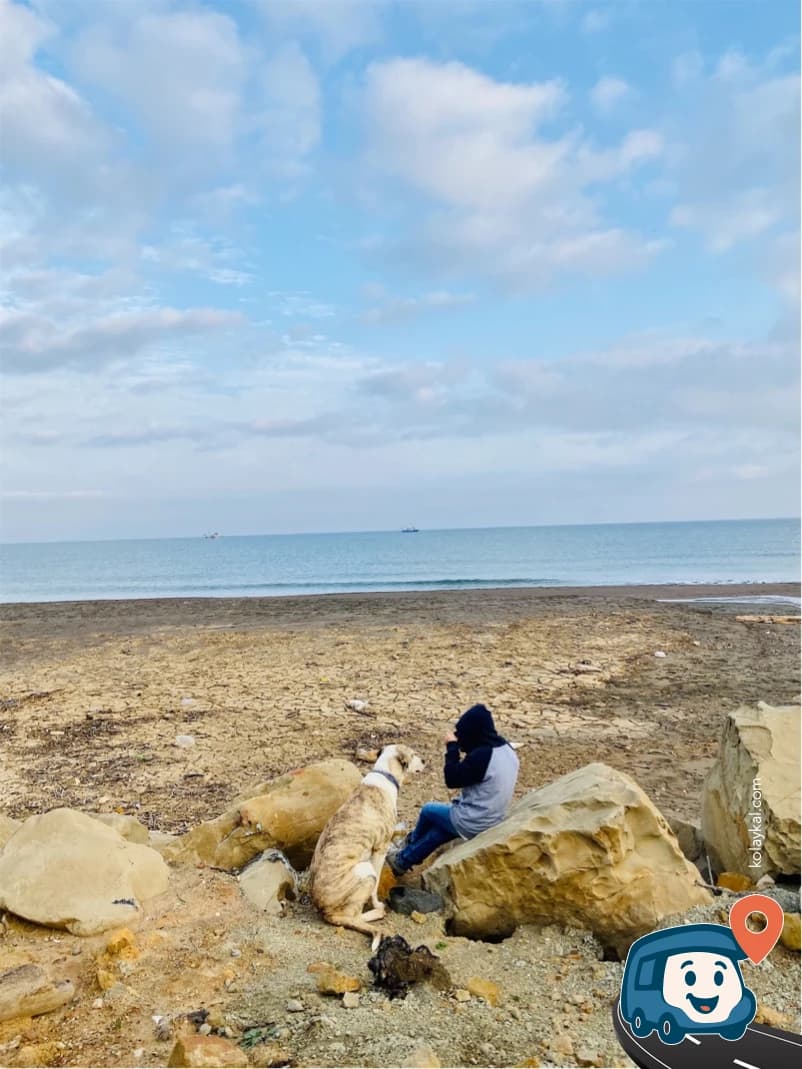 Cemal Reis Camping - Akçakoca, Düzce, foto 2