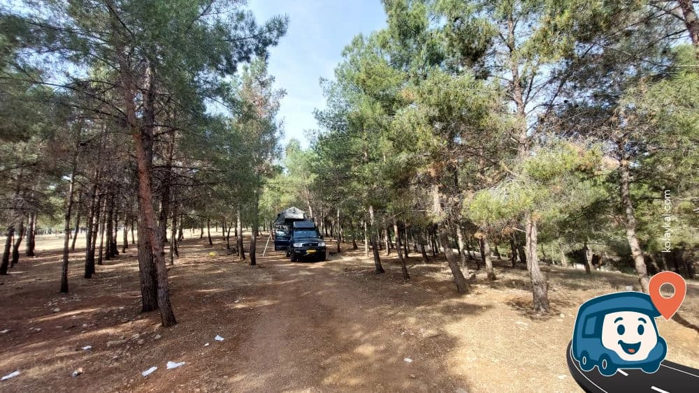 Pine Grove Vahşi Kamp Alanı - Haliliye, Şanlıurfa, foto 5
