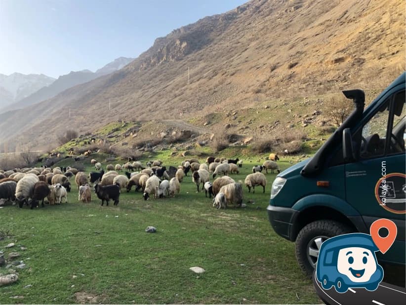 Nehir Kenarı Vahşi Kamp Noktası - Hakkâri Merkez, Hakkari, foto 4