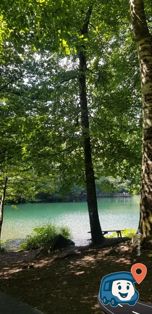 Yedigöller Kamp Alanı - Bolu Merkez, Bolu, foto 1
