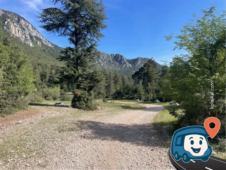 Kaplumbağaların Arasında - Kemer, Antalya, foto 5