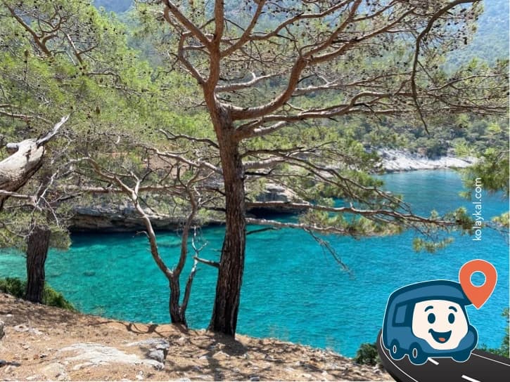 Deniz Kenarı Vahşi Kamp Alanı - Seydikemer, Muğla, foto 5