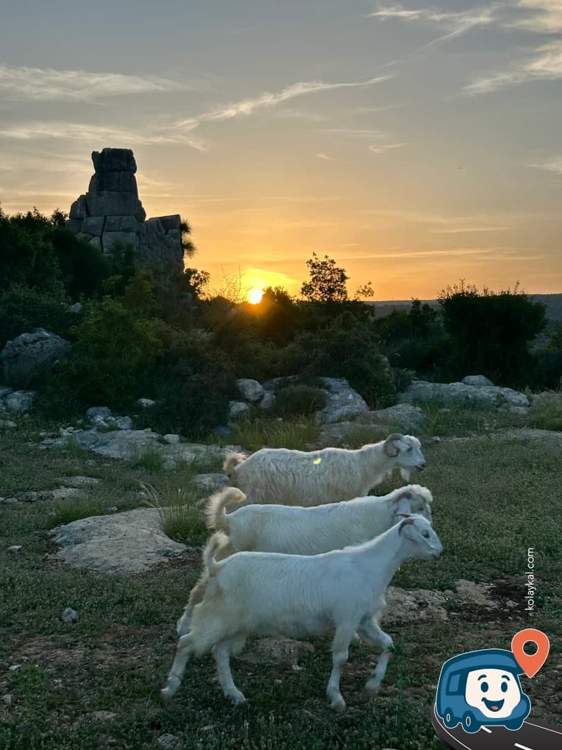 Adamkayalar Rölyefleri - Silifke, Mersin, foto 1