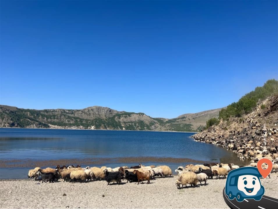 Göl Kenarı Kumsallı Yaban Kamp Alanı - Güroymak, Bitlis, foto 2