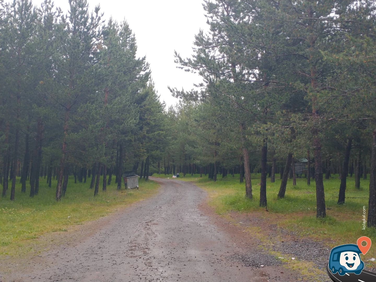 Hanak Kuzeyi Ormanlık Park - Ardahan, foto 2