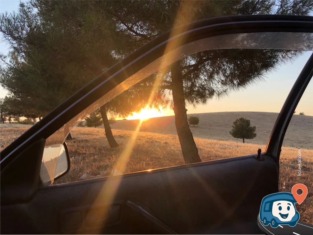Pine Grove Vahşi Kamp Alanı - Haliliye, Şanlıurfa, foto 12