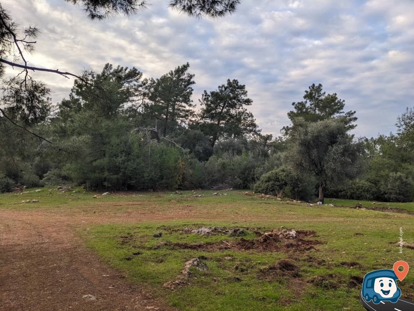Ormanda Kamp Alanı - Fethiye, Muğla, foto 3