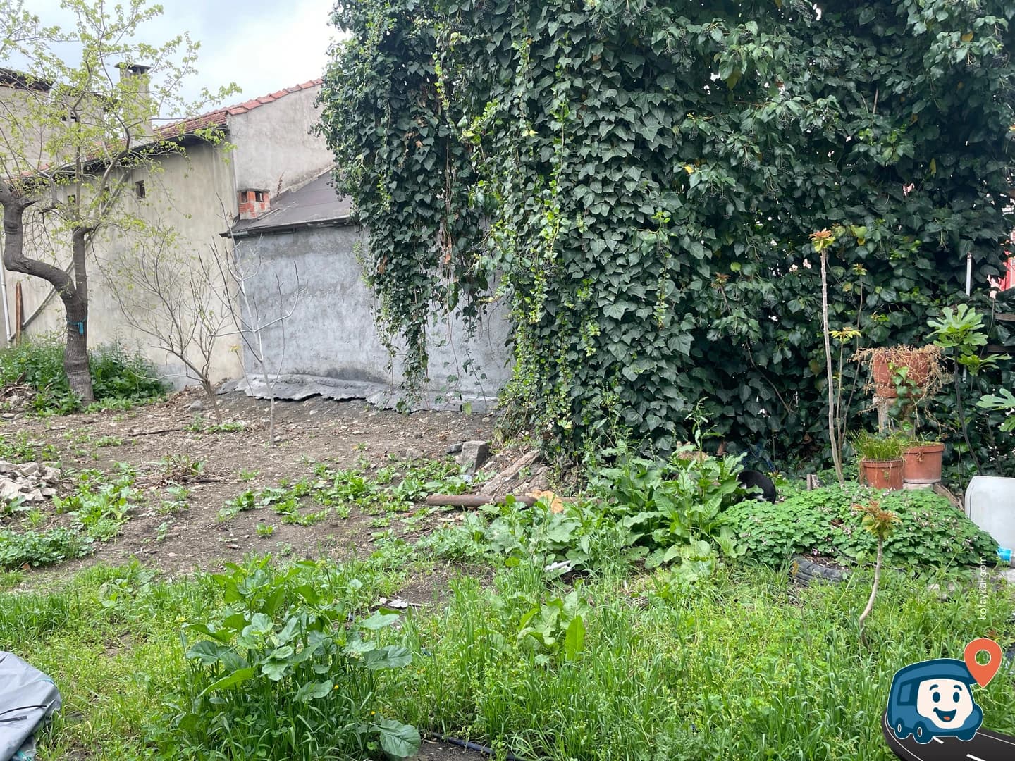 Engürcük Köyü Bahçede Kamp Alanı - Gemli̇k, Bursa, foto 1