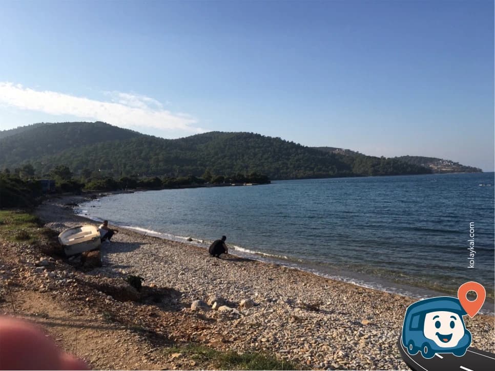 Torba Kuzey - Bodrum, Muğla, foto 1