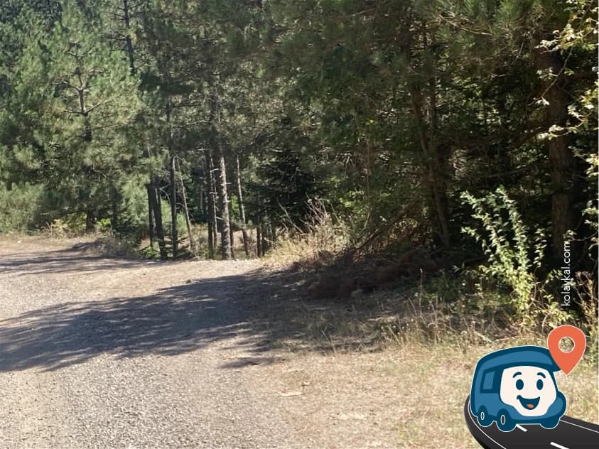 Azdavay Yakınları Vahşi Kamp Alanı - Kastamonu, foto 1