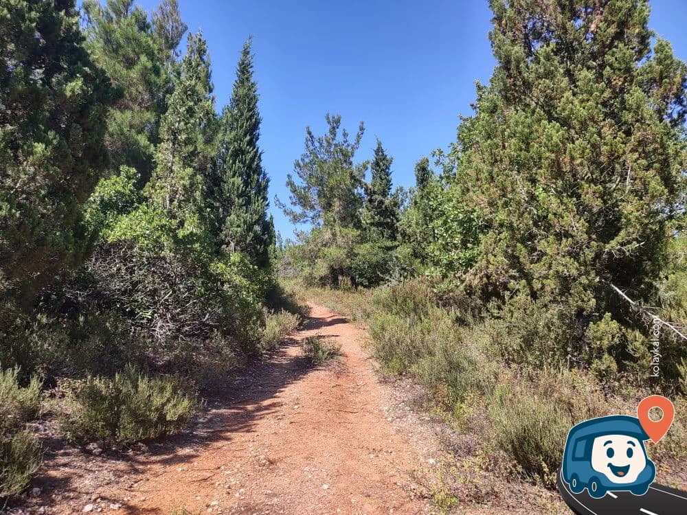 Çam Ormanı Vahşi Kamp Alanı - Lapseki, Çanakkale, foto 1