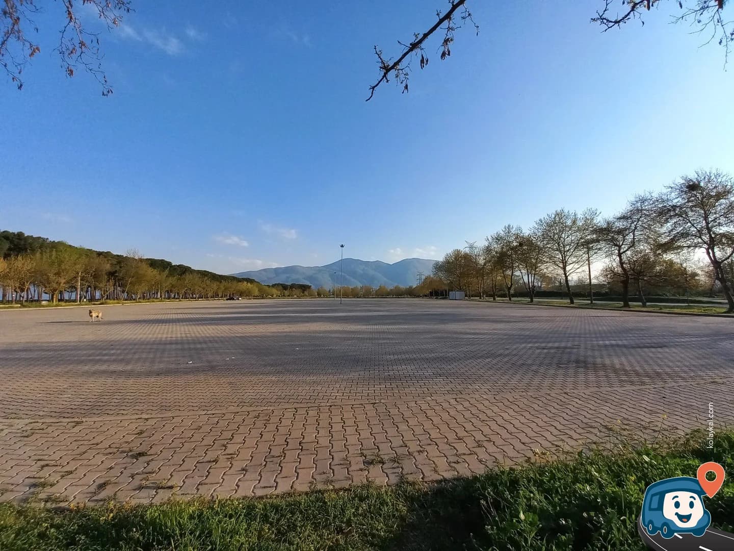 İznik Gölü Kenarı Vahşi Kamp Alanı - Orhangazi̇, Bursa, foto 5