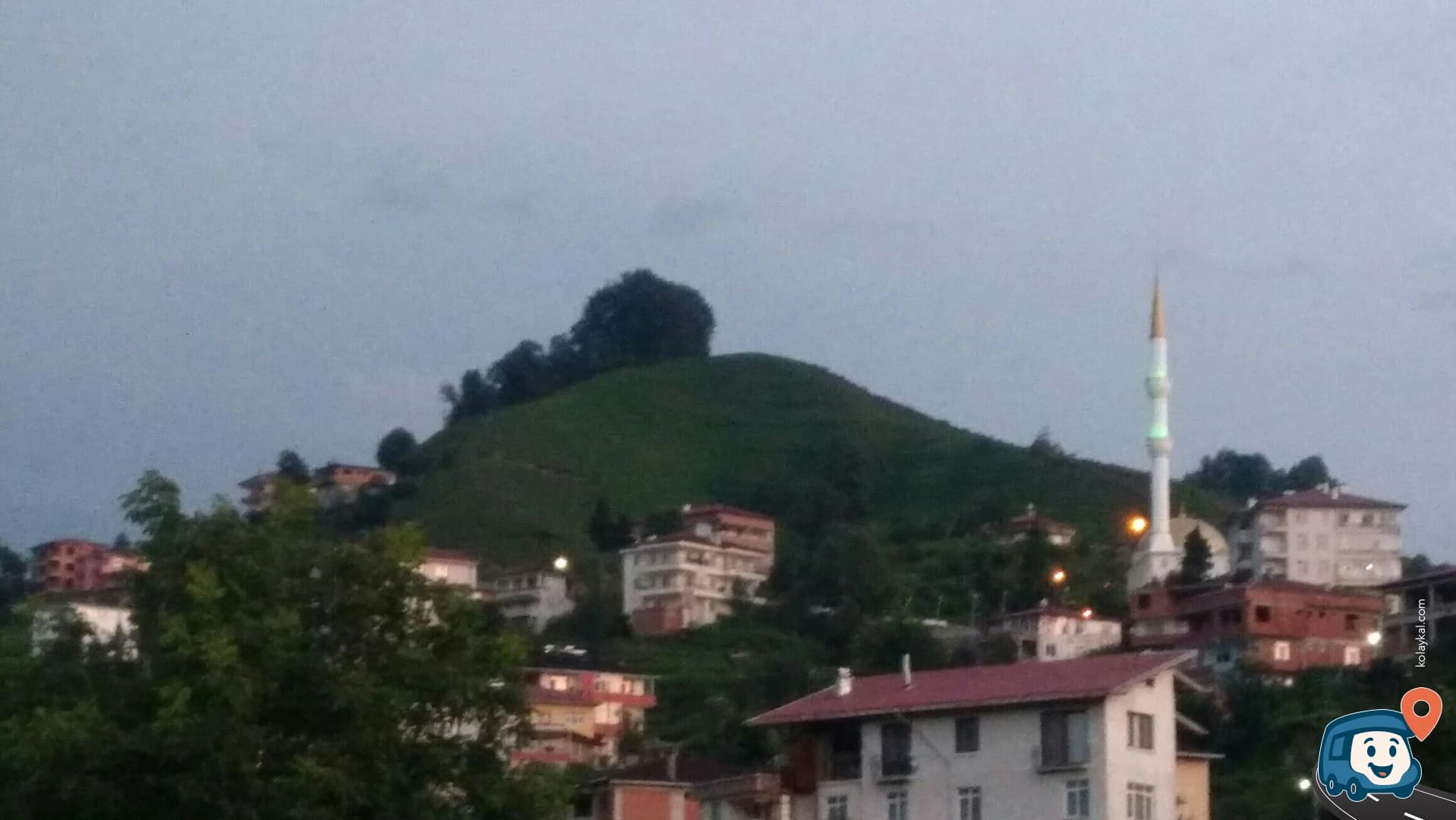 Of Çay Tarlası - Trabzon, foto 3