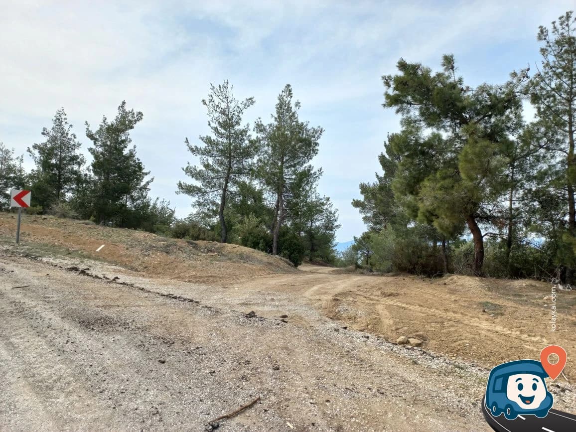 Pamukkale Wood - Denizli, foto 4