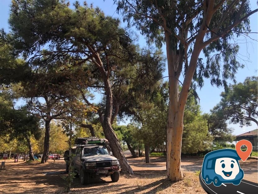 Talat Göktepe Milli Parkı Kamp Alanı - Erdemli, Mersin, foto 5