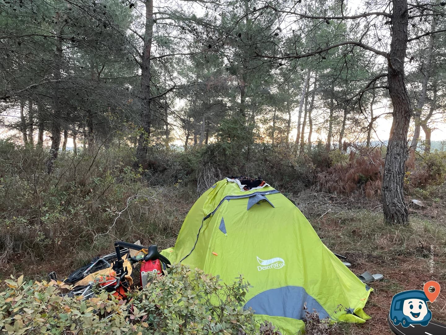 Ormanlık Vahşi Kamp Alanı - Ezine, Çanakkale, foto 1
