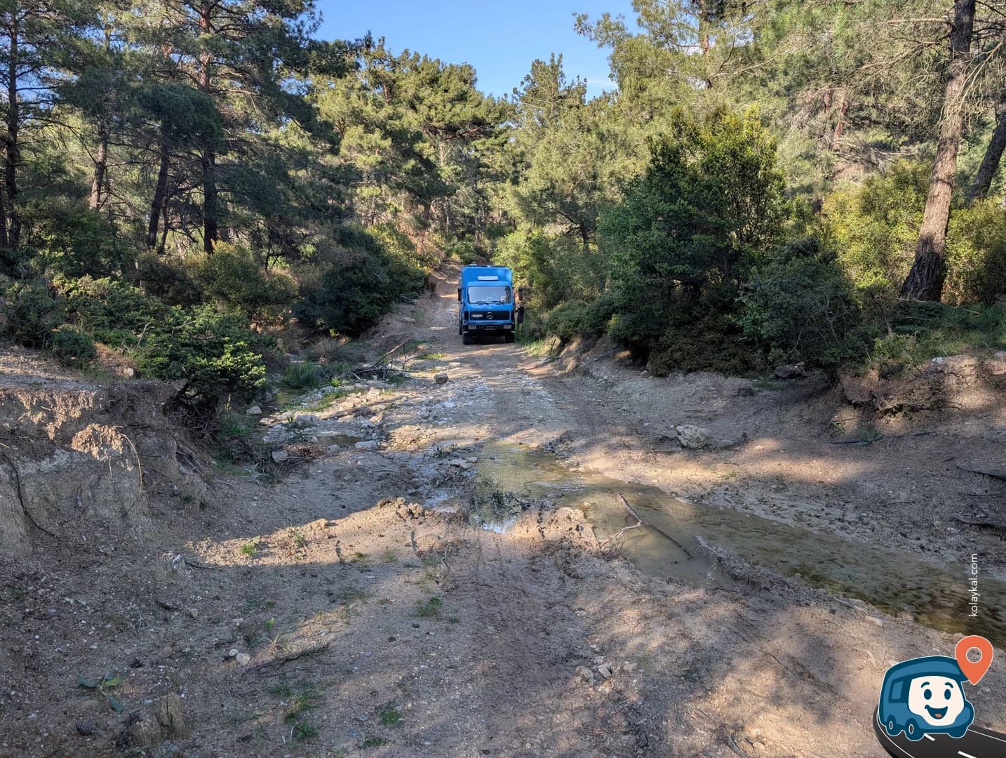 Rüzgardan Korunaklı Orman - Çanakkale Merkez, Çanakkale, foto 1