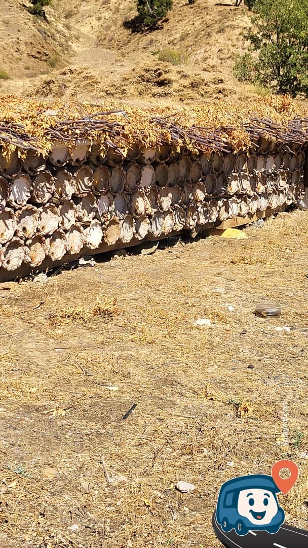 Beğendik - Pervari, Siirt, foto 2