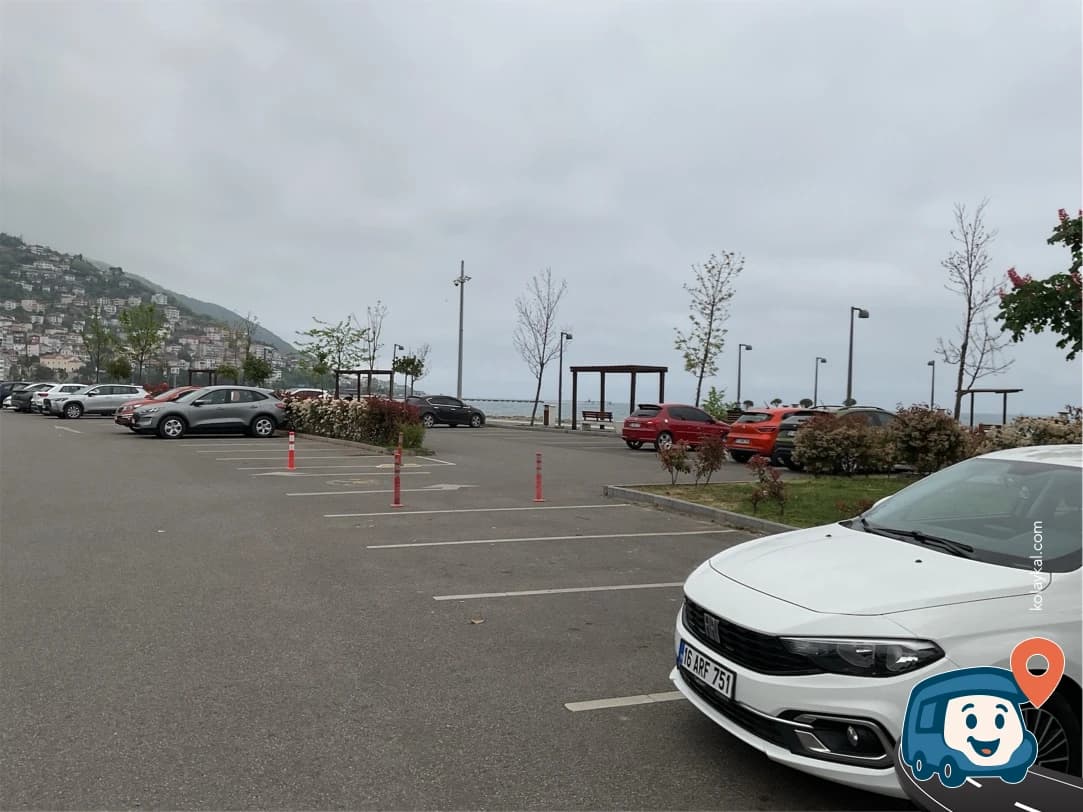 Ayışığı Otoparkı - Altınordu, Ordu, foto 2